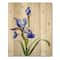 Designart - Retro Blue Iris Flower - Traditional Print on Natural Pine Wood